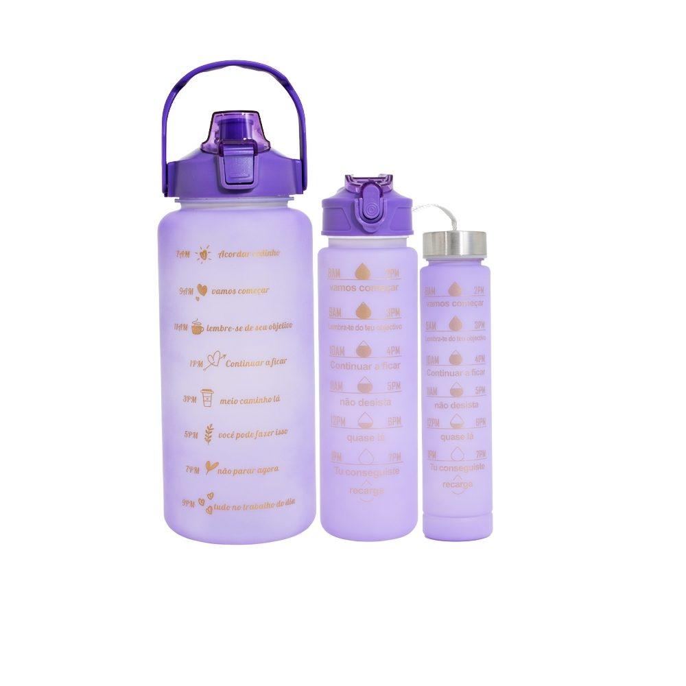 Kit 3 garrafas DR1880 na cor Roxo, brinde personalizado Sky Brindes